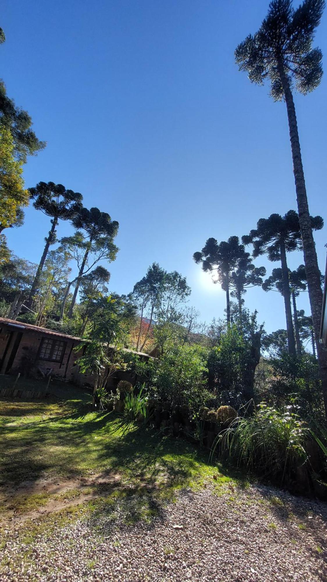 Chales Fora De Estrada Campos do Jordao Ngoại thất bức ảnh